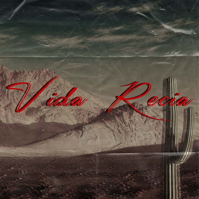 Vida Recia