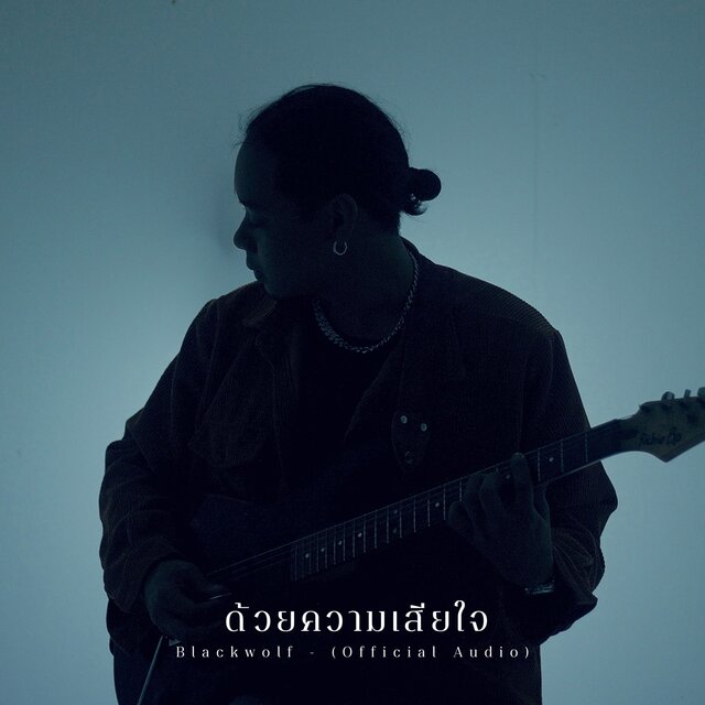ด้วยความเสียใจ - Single