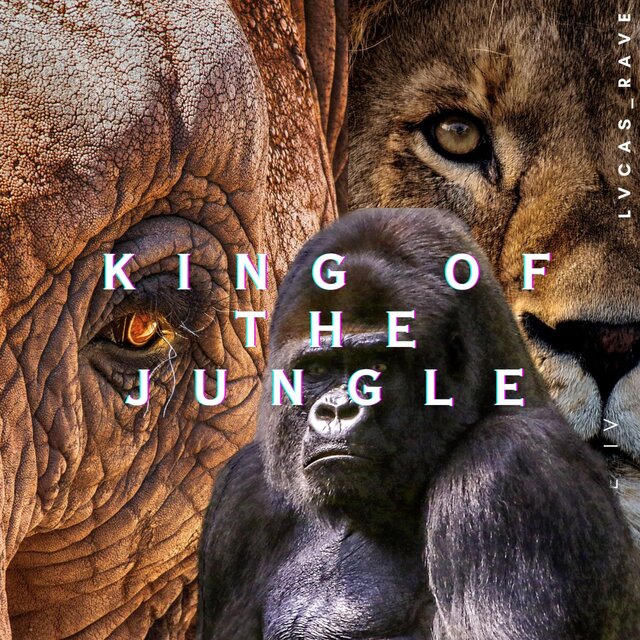 King of the Jungle  (Original mix)