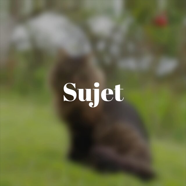 Sujet