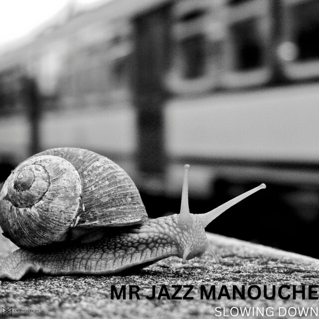 Slowing Down