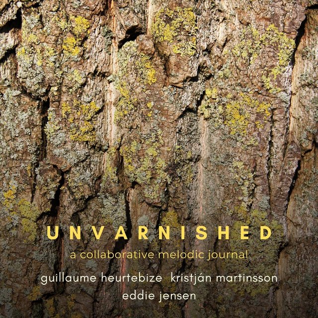 Unvarnished