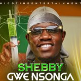 Gwe nsonga