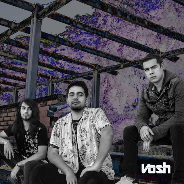 Vosh