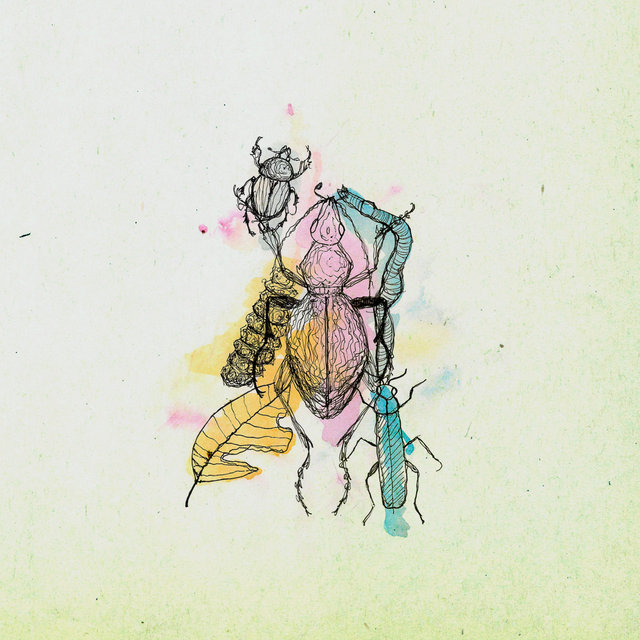 Imago