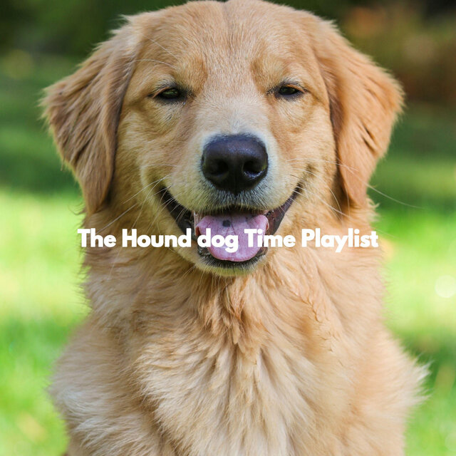 The Hound dog Time Playlist