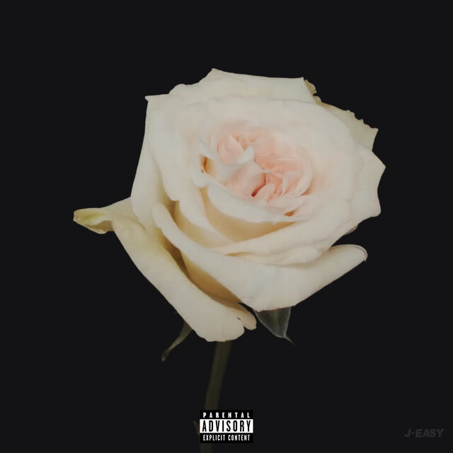 White Roses