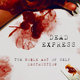 Cover art for album The Noble Art of Self Destruction by Dead Express