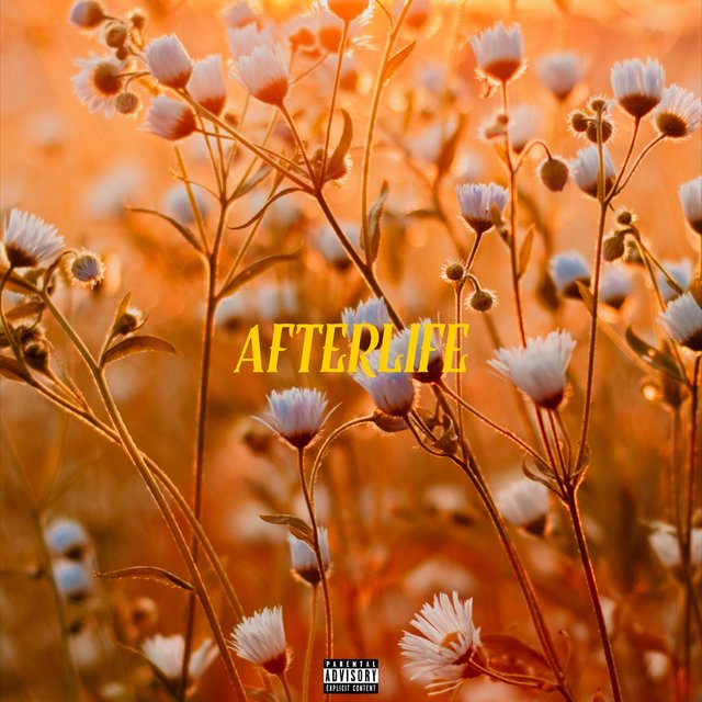 Afterlife