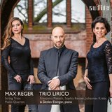 String Trio in D Minor, Op. 141b: II. Andante molto sostenuto con variazioni