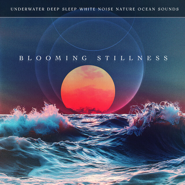 Blooming Stillness