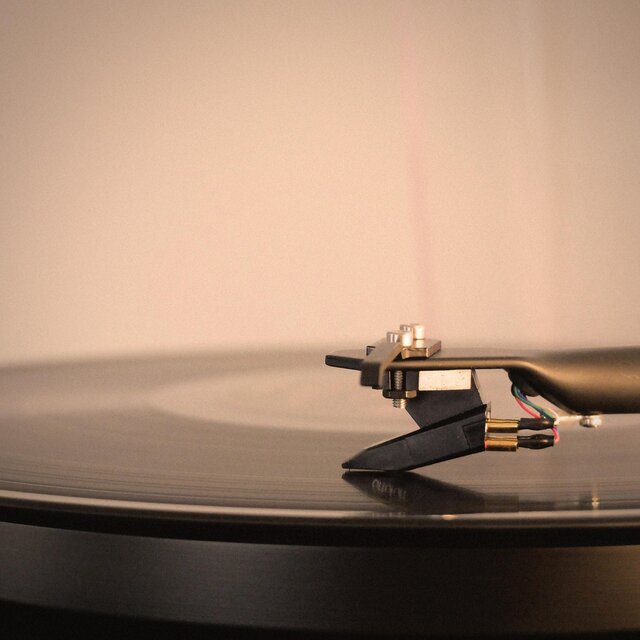 The Warm Crackle of a Vinyl Record
