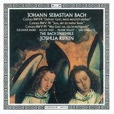 J.S. Bach: Jesu, der du meine Seele, Cantata BWV 78: 6. Aria: Nun du wirst mein Gewissen stillen