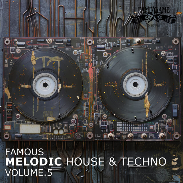 Famous Melodic House and Techno, Vol. 5