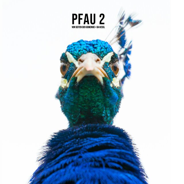 Pfau 2