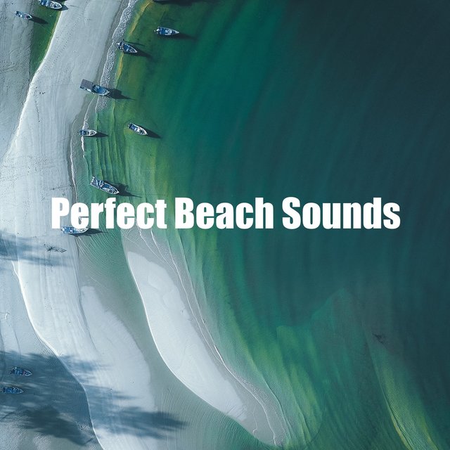 Perfect Beach Sounds