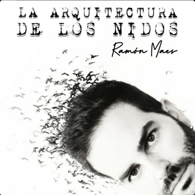 La arquitectura de los nidos