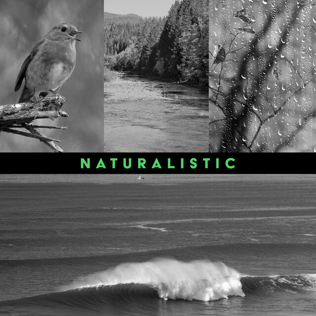 Naturalistic: Pure Sounds of Birds, River, Ocean and Rain
