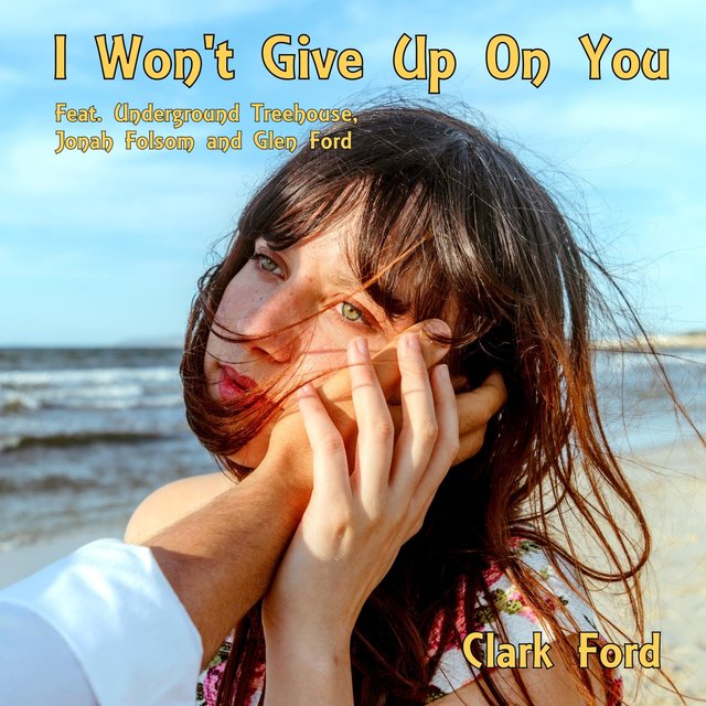 I Won't Give up on You