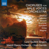 Landkjenning (Land-Sighting), Op. 31: Landkjending (Land-Sighting), Op. 31
