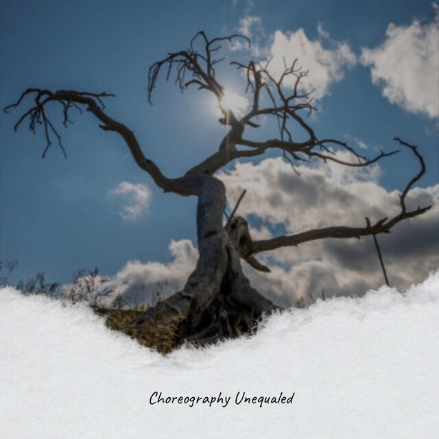 Choreography Unequaled