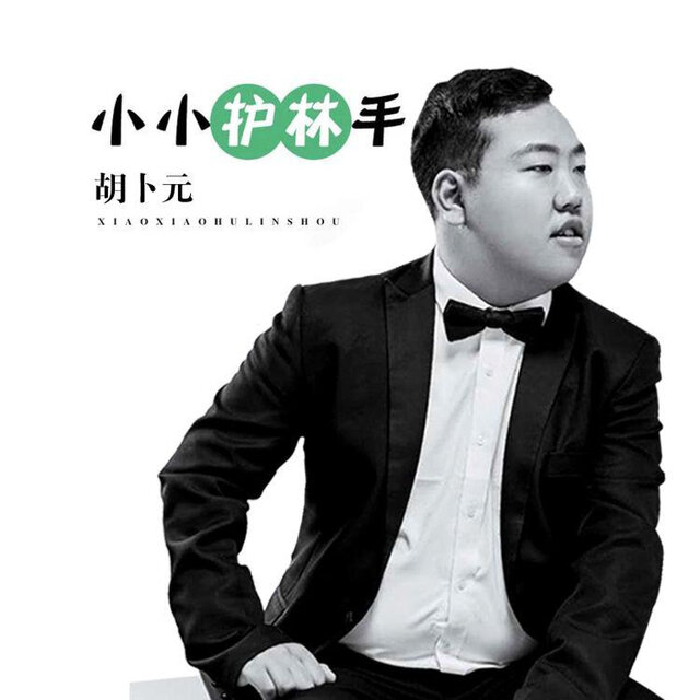 小小护林手