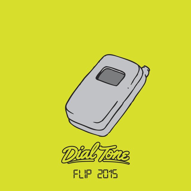 Flip 2015