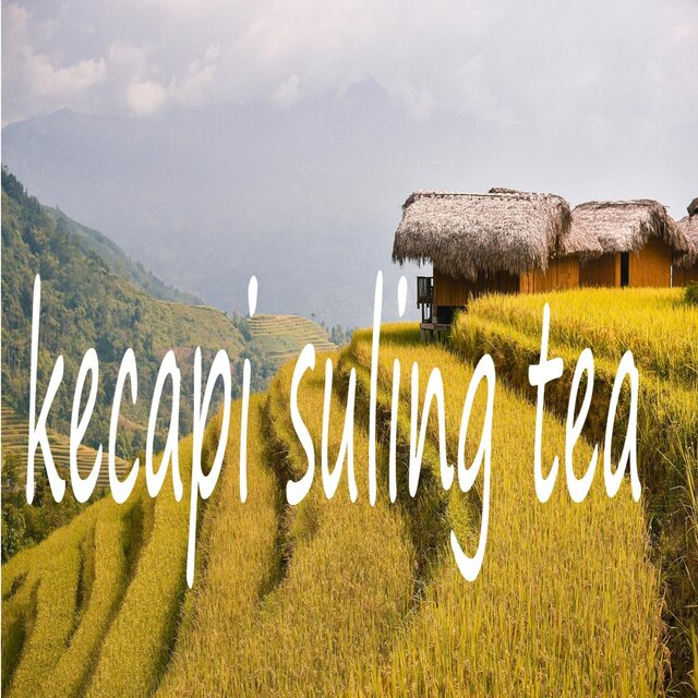 kecapi suling tea