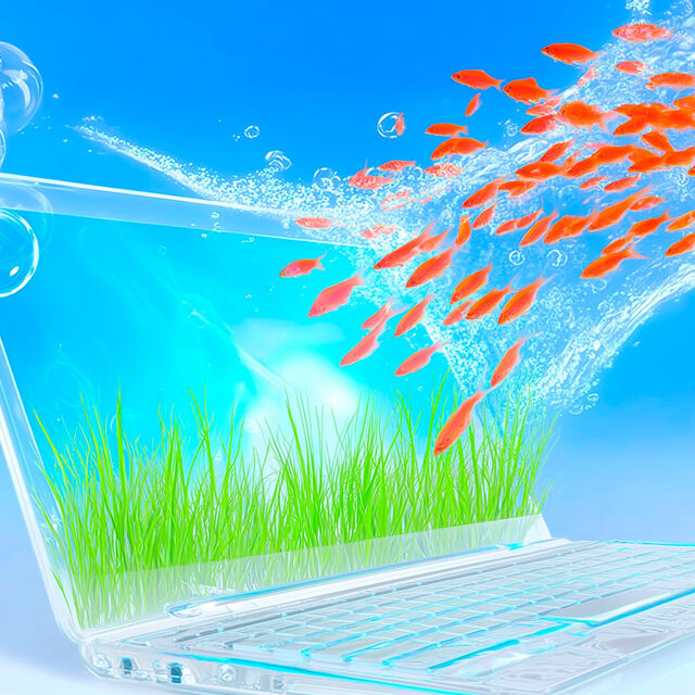 fish computer