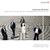 Piano Trio No. 3 in C Minor, Op. 101: II. Presto non assai