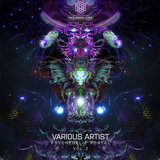 Introspect (Original Mix)