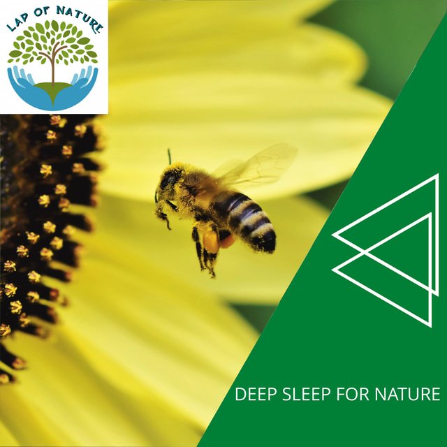 Deep Sleep for Nature