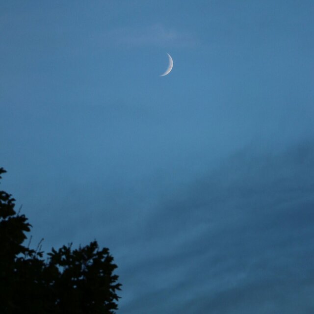Nocturne