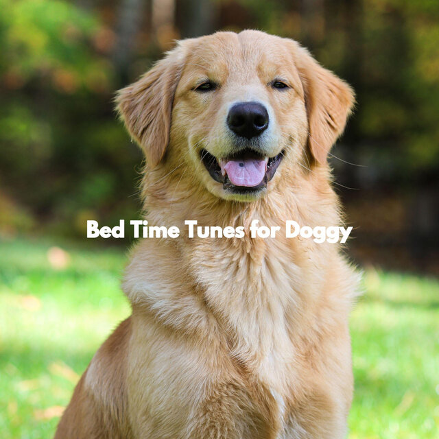 Bed Time Tunes for Doggy