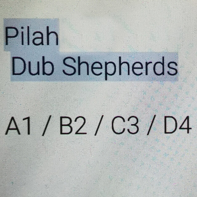 A1B2C3D4