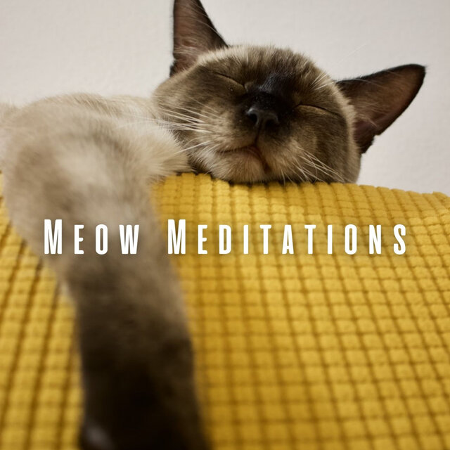 Meow Meditations: Tranquil Pink Noise for Serene Cats