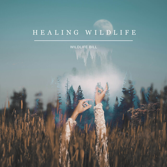 Healing Wildlife