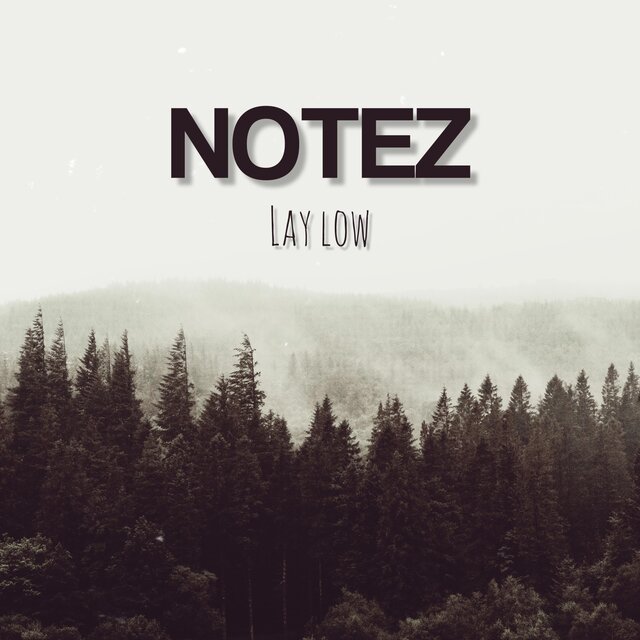 Lay Low