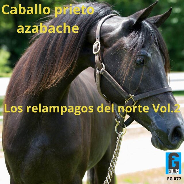 Caballo Prieto Azabache