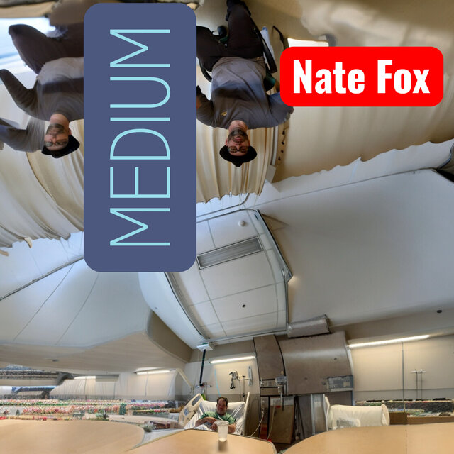 Cover art for album Nate Fox by User