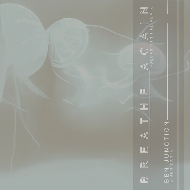 Breathe Again (Sebastian Hal Remix)