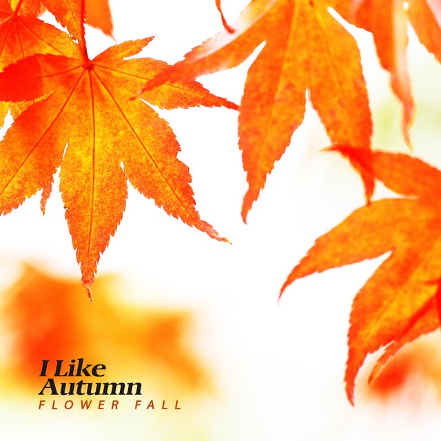 I Like Autumn