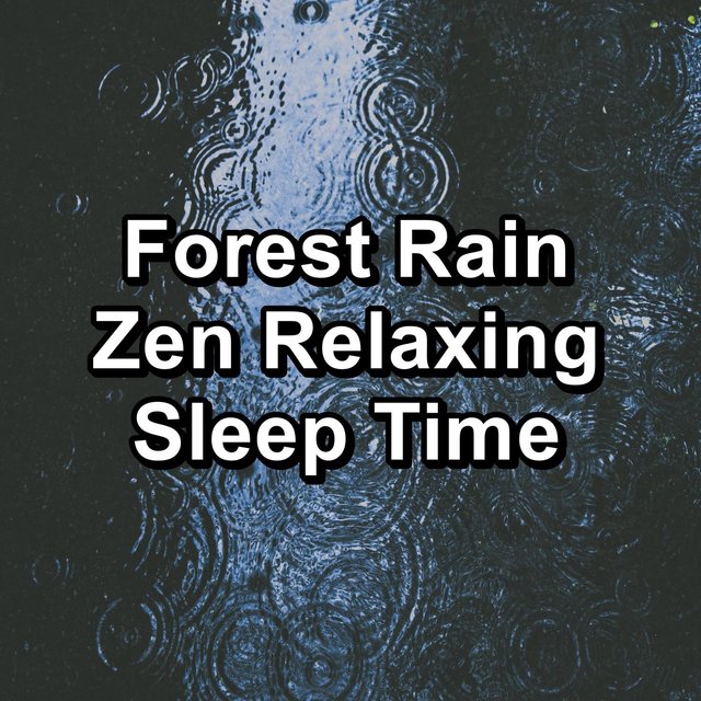 Forest Rain Zen Relaxing Sleep Time
