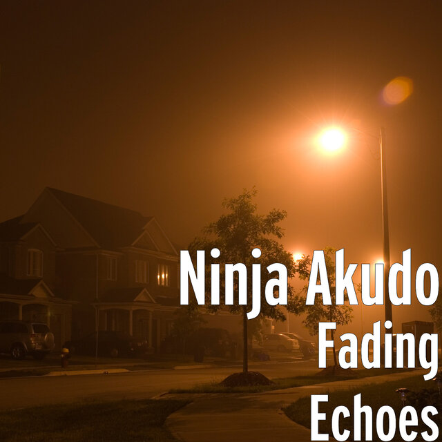 Fading Echoes