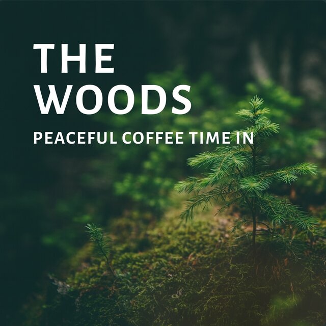 Peaceful Coffee Time in the Woods