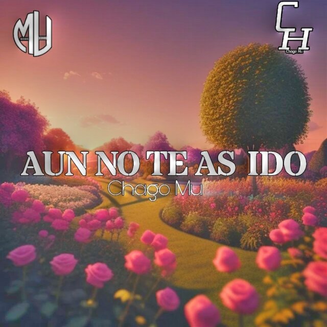Aun No Te As Ido (Cover)