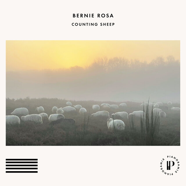 Counting Sheep