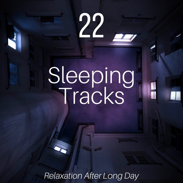 22 Sleeping Tracks: Relaxation After Long Day, Stress Relief Muisc for Deep Sleep