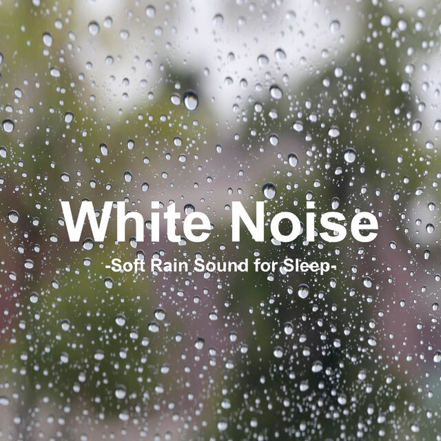 Soft Rain Sound for Sleep 1 Hour (Relieving Insomnia, Rain, White Noise, Sleeping Music)