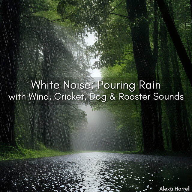 White Noise: Pouring Rain with Wind, Cricket, Dog & Rooster Sounds